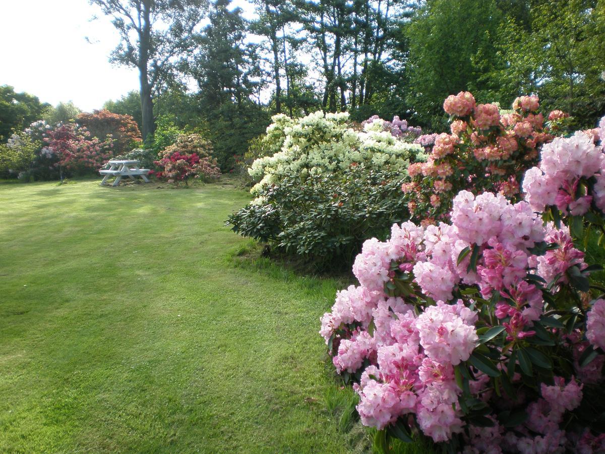 Shamrock Garden B&B Airport Christchurch Exterior foto